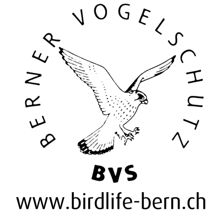 c9746c34bd08-BVS_Logo_2021