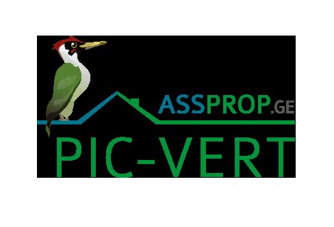 logo-PicVert-Assprop-2018 hd